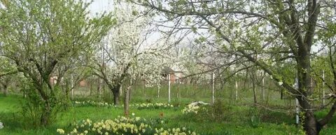 Погода х черников