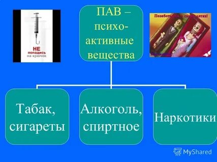 Выбор пав