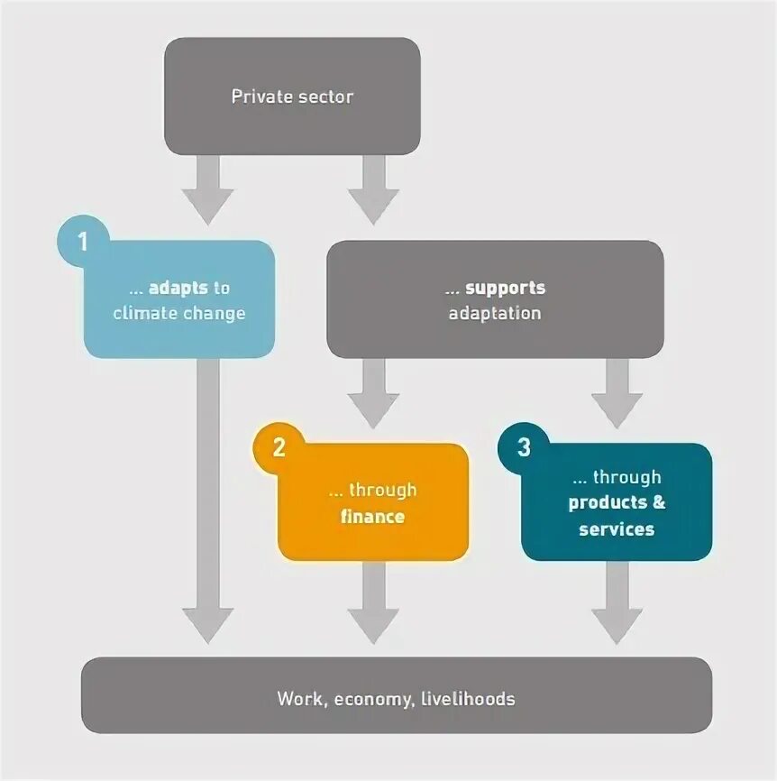 Private sector. Private sector ВК. Private sectors of Businesses. Adaptation in Company.