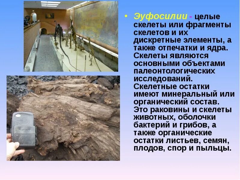 Его фрагмент или фрагменты. Его фрагмент или фрагменты
