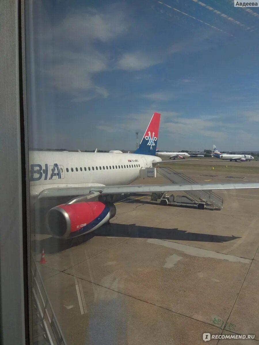 Авиакомпания эйр сербия. Airbus a320 air serbia. Airbus a320 air serbia. Airbus a319 serbia. Сербские авиалинии.
