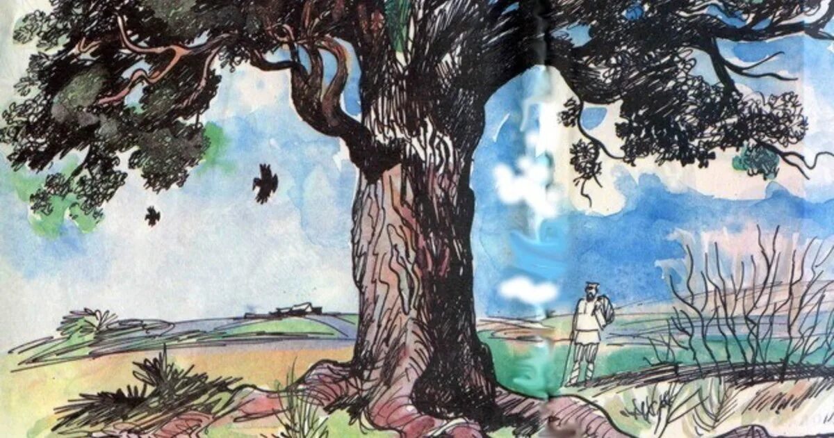 Рассказ деревья растут для всех. Лев толстой дуб и орешник. Басни л.н.Толстого «дуб и орешник».. Басня дуб и орешник. Л Н толстой дуб и орешник иллюстрации.