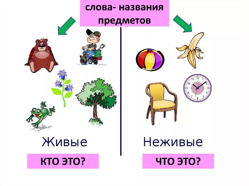 Слова обозначающие предмет называется. Слова предметы. Слова обозначающие предмет. Слова обозначающие названия предметов. Слова-предметы 1 класс.