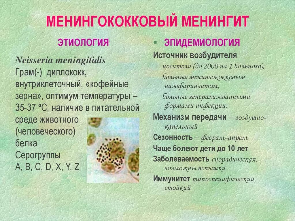 Диагностика менингококкового менингита. Менингококковая инфекция этиология. Менингококковая инфекция этиология эпидемиология. Менингококковый менингит этиология. Менингококковый менингит эпидемиология.