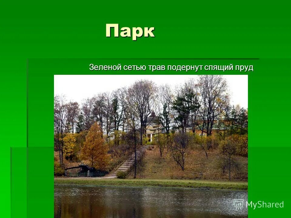 зеленой сетью трав подернут спящий пруд ответы. гдз по русскому языку 5 класс ладыженская 2 729. лермонтов зеленой сетью трав подернут. зеленой сетью трав подернут спящий. зелёной сетью трав подернут спящий.