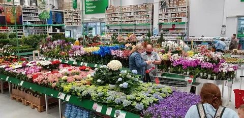 Работа в бауцентре в пушкино