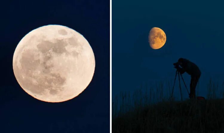 Клип moon. Голубая Луна клип. Кадры из клипа Луны Луна. Голубая Луна кто поет. Луна КДИМБ клип с луной.