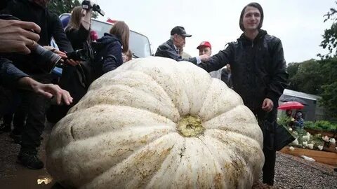 Слова большой гигантский огромный