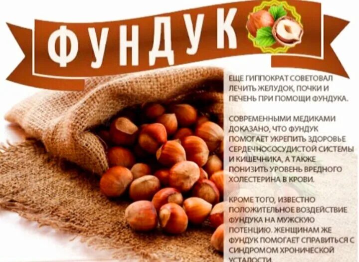 Чем полезен фундук. Фундук сколько хранится. Фундук польза. Орехи фундук вред. Орехи фундук вред.