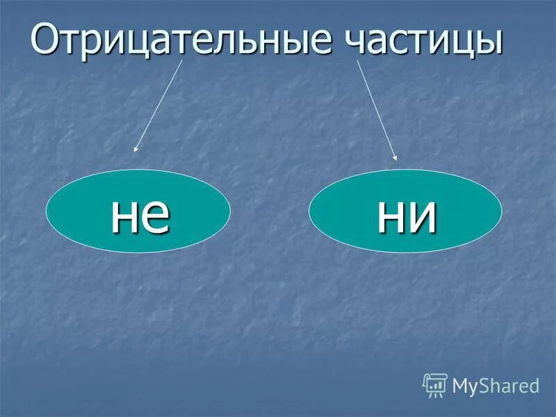 Назовите отрицательные частицы