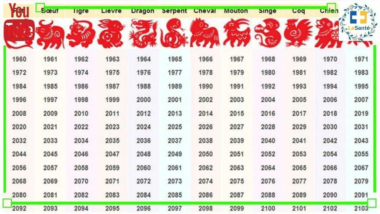 Сколько будет новый год 2024. Года по восточному календарю. Китайский гороскоп по годам. Следующий год по китайскому гороскопу. Следующие года животных.