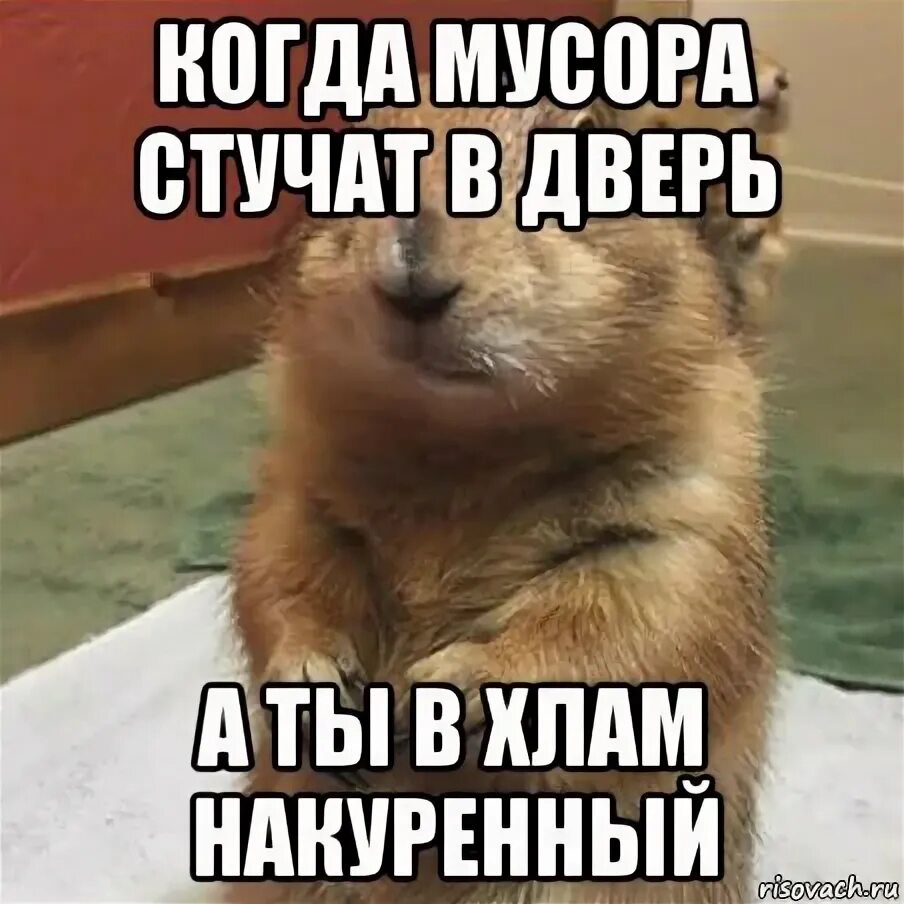 Почему человек стучит