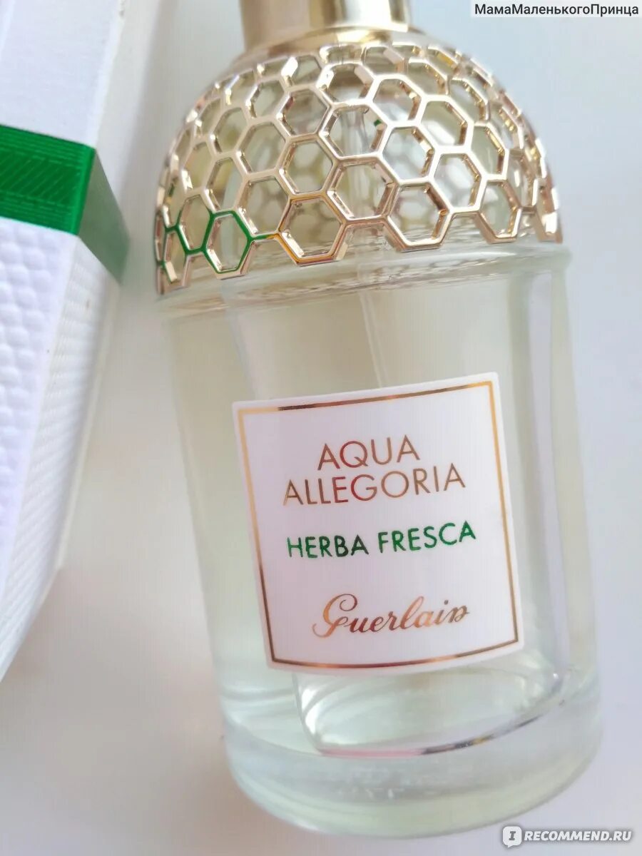 Guerlain Aqua Allegoria herba fresca. Aqua Allegoria herba fresca Perfume. Guerlain Flora herba fresca. Духи Aqua Allegoria herba fresca. Guerlain aqua allegoria herba