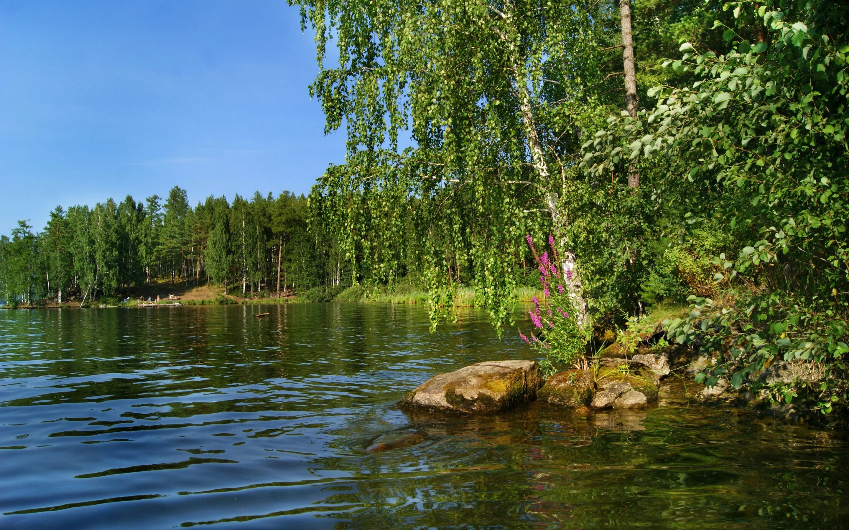 Озеро русские песни. Природа Урала озеро Синара. Озеро Любимовское Ленинградская область. Березовая речка Томск. Природа Урал Долгобродка озеро.