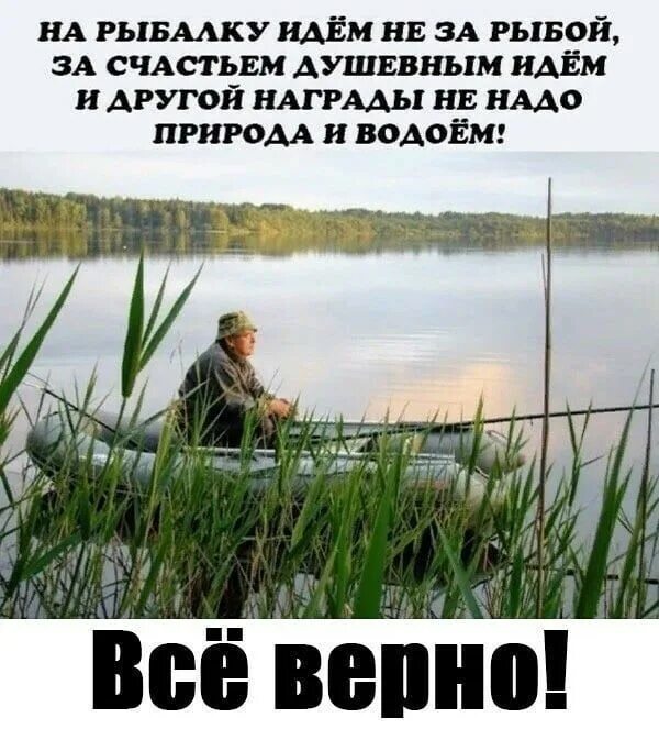 Приколы на рыбалке. На рыбалку за душевным покоем. Когда утром идти на рыбалку. Про рыбалку прикольные. Кот рыбак.