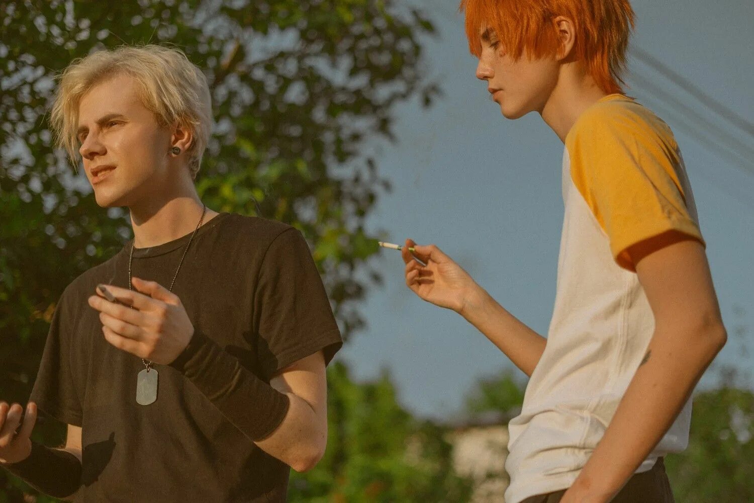 Фф дрю. Дрю ривз. Фф дрю. Фф дрю. Зельда уильямс волчонок.