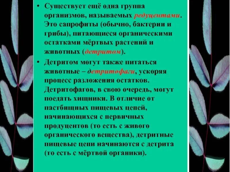 Питание организмов 10 класс презентация. Автотрофный и гетеротрофный тип питания. Значение живых организмов в жизни человека. Типы питания живых организмов таблица 6 класс биология. Типы питания автотрофы.