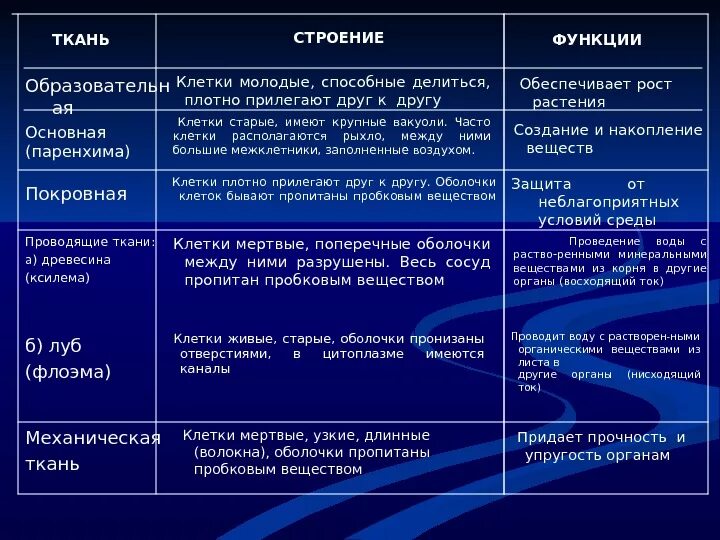 Функции выполнения клетки. Функции выполнения клетки