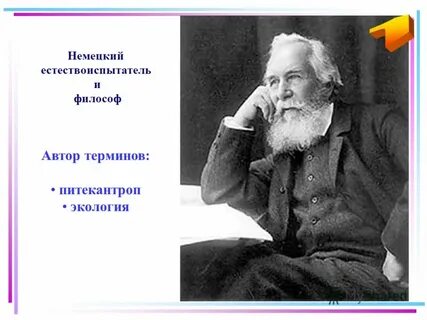 Немецкий биолог э геккель писал в 1904