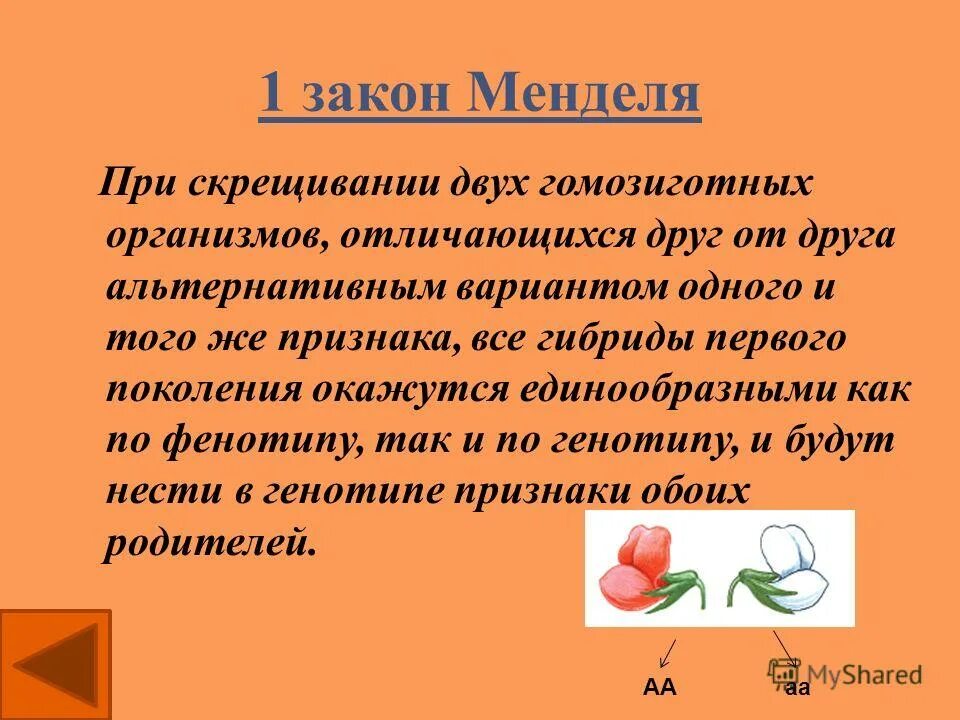 Чистая линия закон менделя