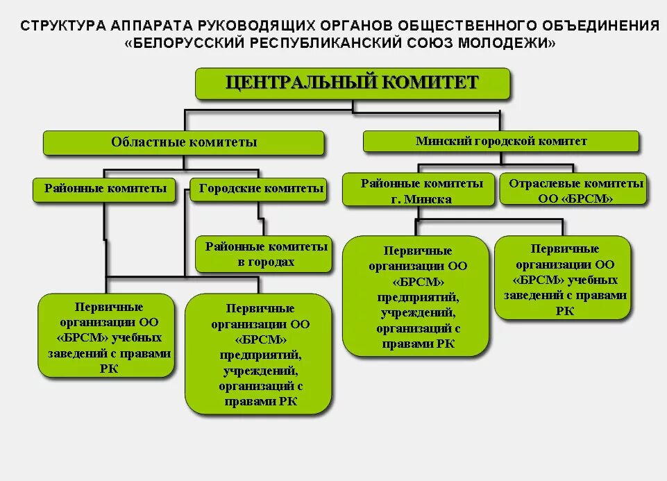 Структура общественного объединения. Структура руководящих органов. Структура молодежной организации. Общественное учреждение структура.