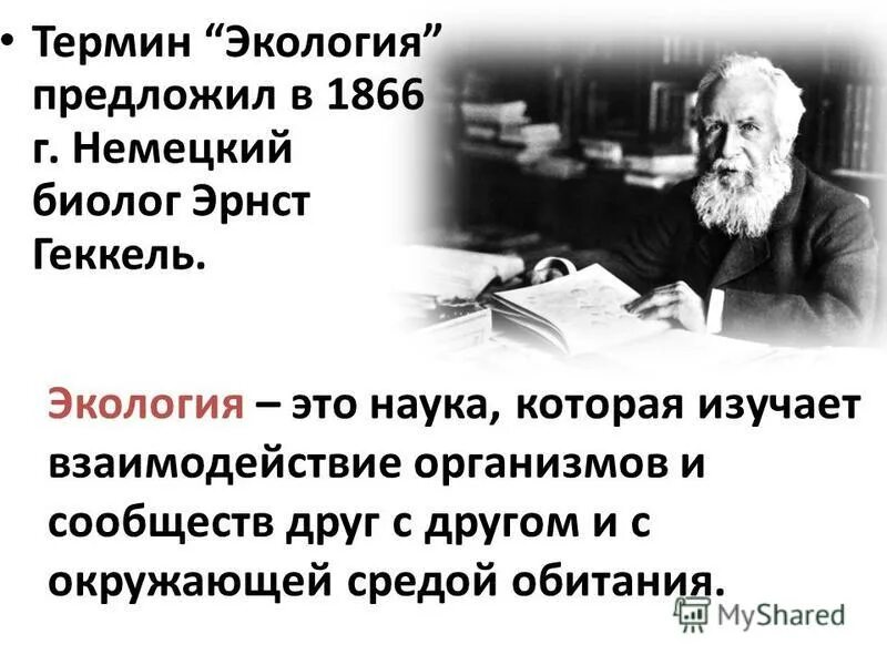эрнст геккель 1866. геккель экология 1866. геккель термин. термин экология впервые. эрнест геккель экология.