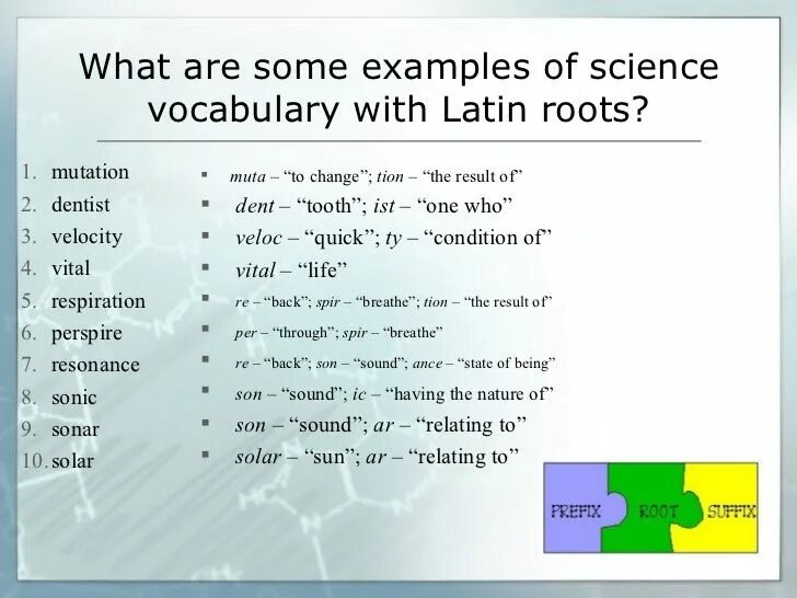 The word science means. Science Vocabulary. English Science Vocabulary. Scientific English. Scientific Words examples.