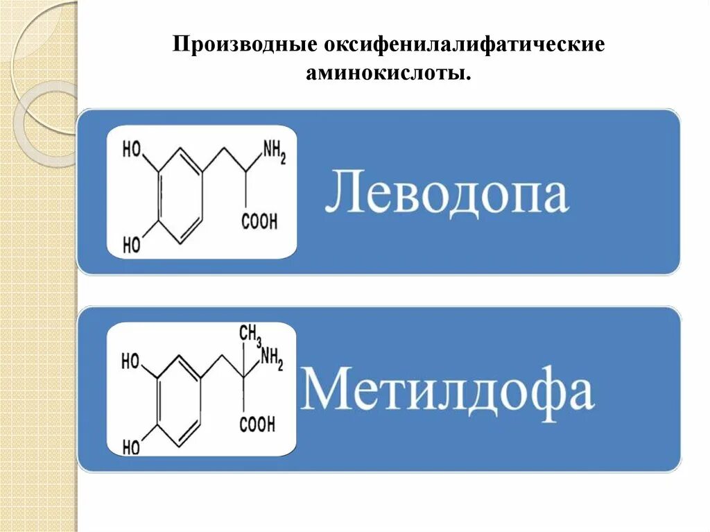 Самая подлинность