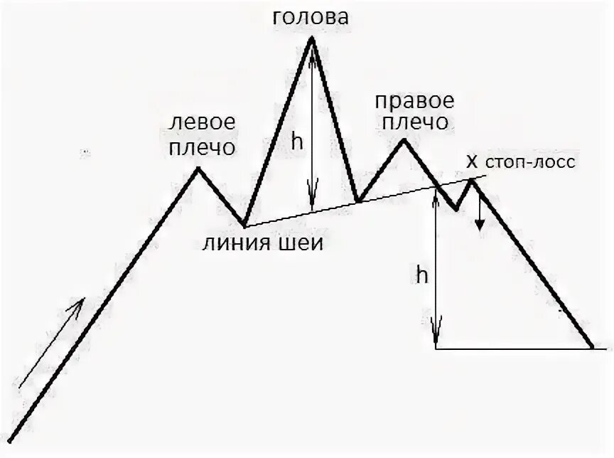 Как называется голова и плечи. Как называется голова и плечи