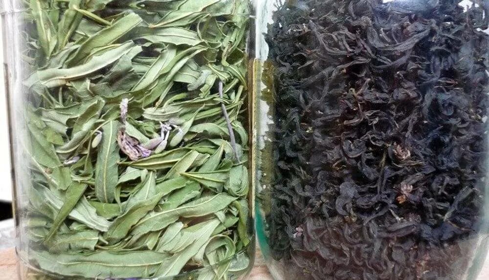 чай. чай. кружка с чаем. кружка чай. чай.