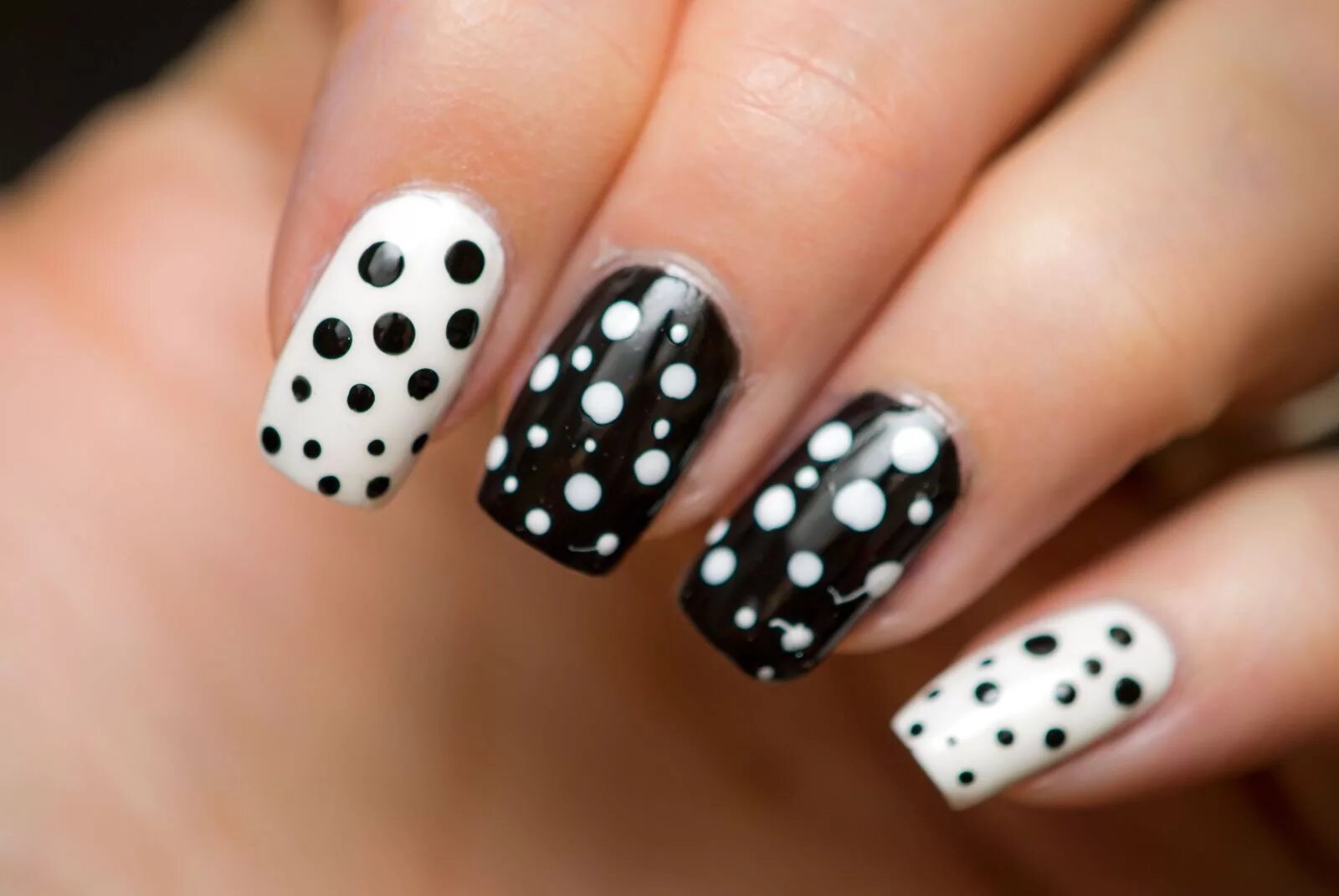 маникюр на короткие ногти с точками. маникюр с черными точками. маникюр на короткие ногти горох. маникюр на короткие ногти горох. простенький маникюр на короткие ногти.