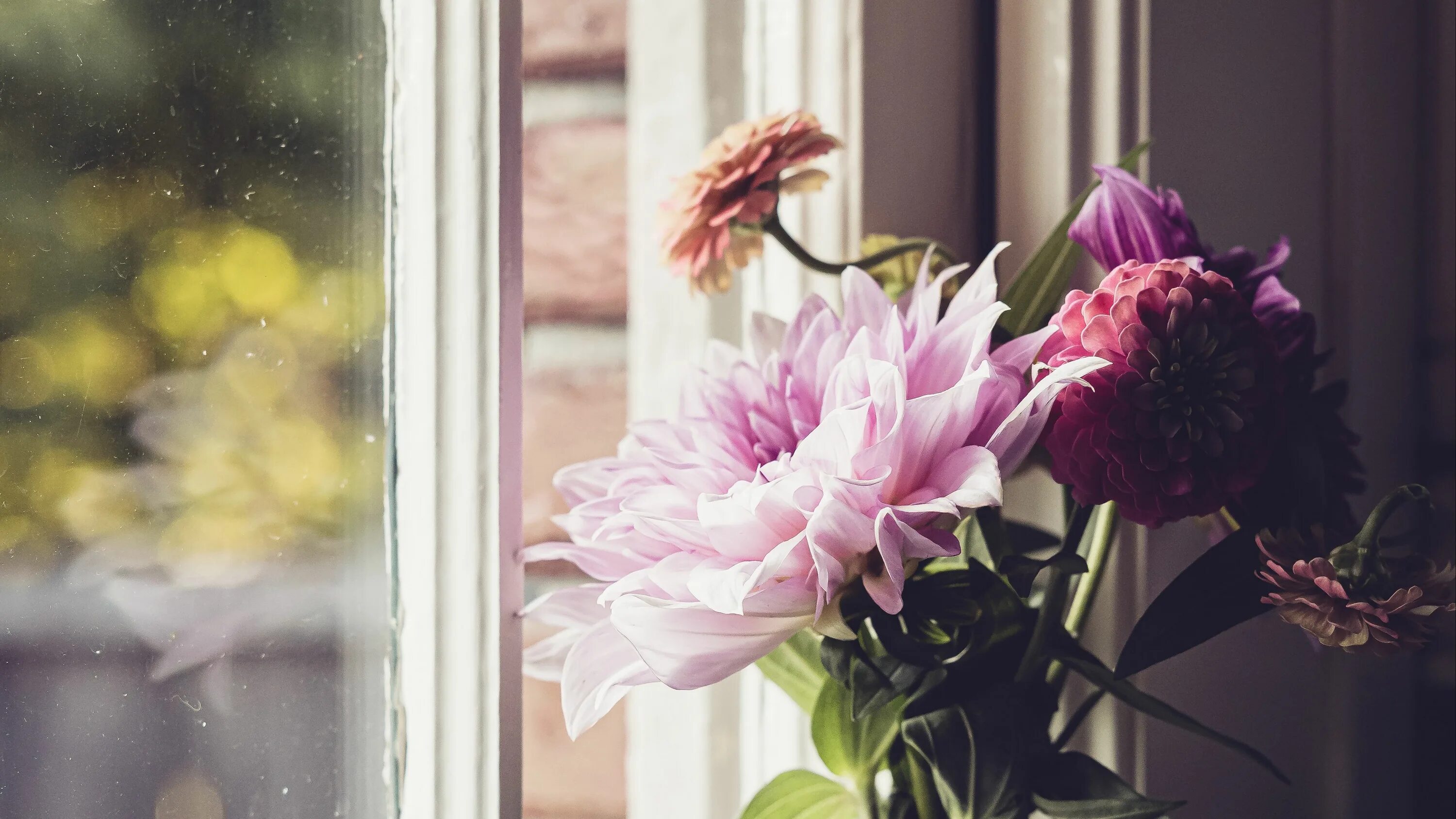 ромашки на окне: 5 тыс изображений найдено в Яндекс.Картинках Flower vases, Wate