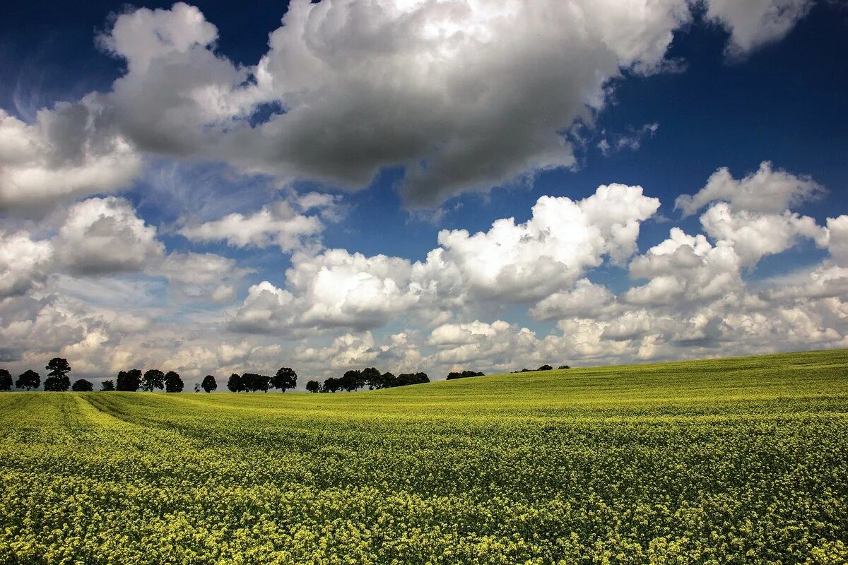 Поле небо. Пейзаж поле. Красивое поле. Красивое небо и поле. Field 20