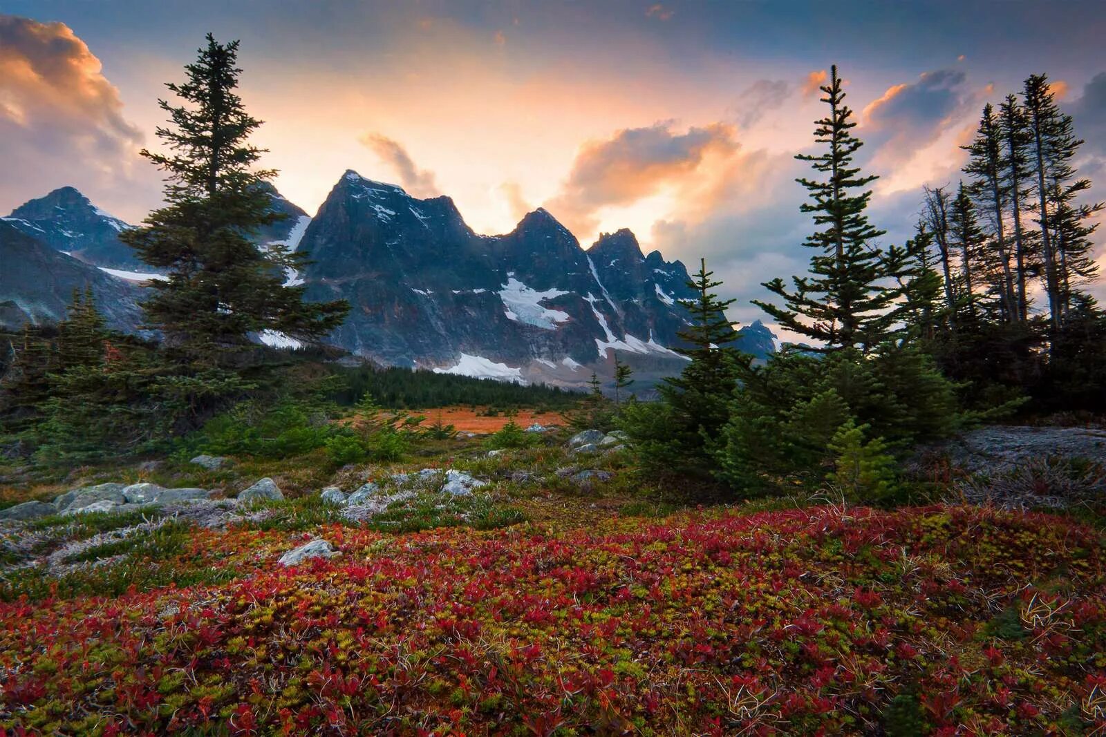 Восхитительные края. Фотограф Кевин МАКНИЛ Kevin MCNEAL. Канада красоты лес. Природа Северной Канады. Красота природы.