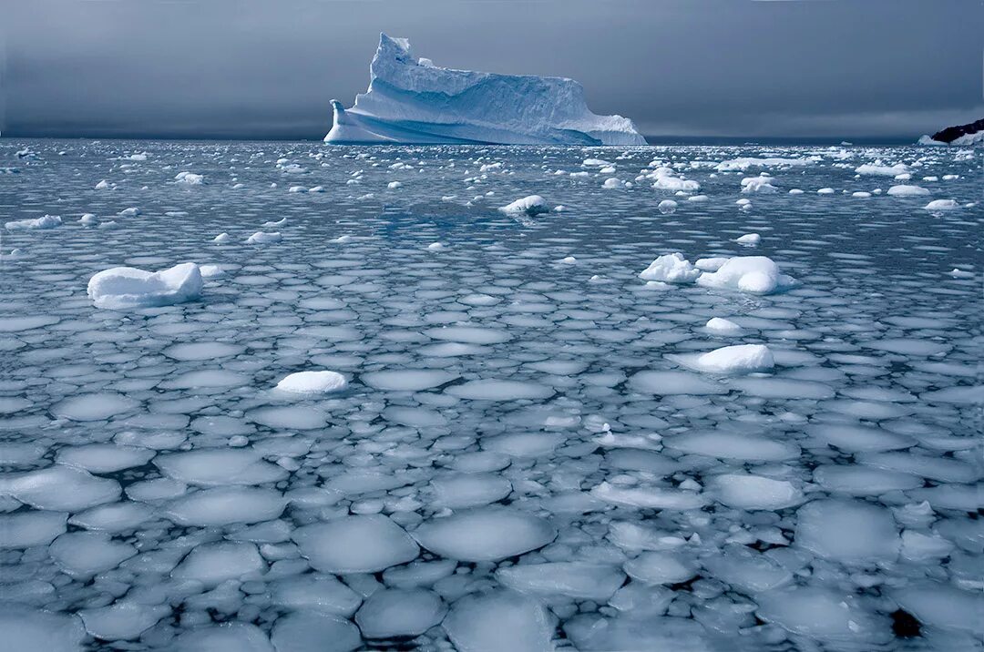 Глобальное потепление Северного Ледовитого океана. Климат Северного Ледовитого океана. Северный Ледовитый океан паковый лед. Северный полюс таяние ледников.