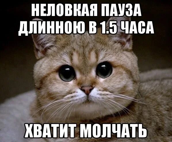 Многое не знаю не понимаю. Я все знаю. пидрила мем. я знаю. я всё знаю мем.