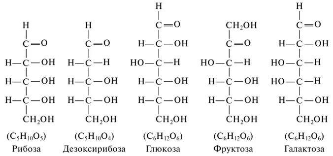 Структурные формулы моносахаридов таблица. Глюкоза рибоза фруктоза формула. Структурные формулы моносахаридов. Рибоза Глюкоза дезоксирибоза. Сахар рибоза
