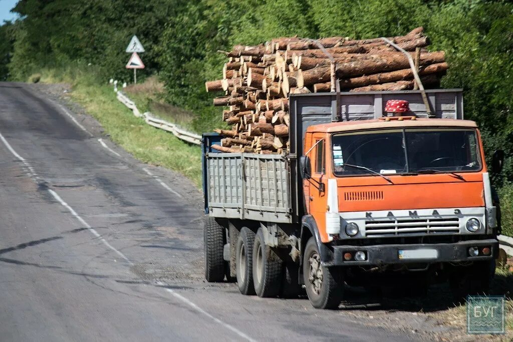 Грузовики лес