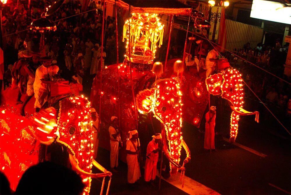 шри ланка праздник перахера. шри-ланка празднует рождество. шри ланка праздники в декабре. шри ланка праздники в декабре. дуруту перахера.