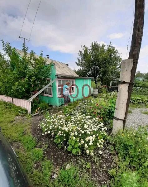 Сады богданович. Сады в богдановиче. садовые участки в г богданович. богданович мичурина 3 фото.