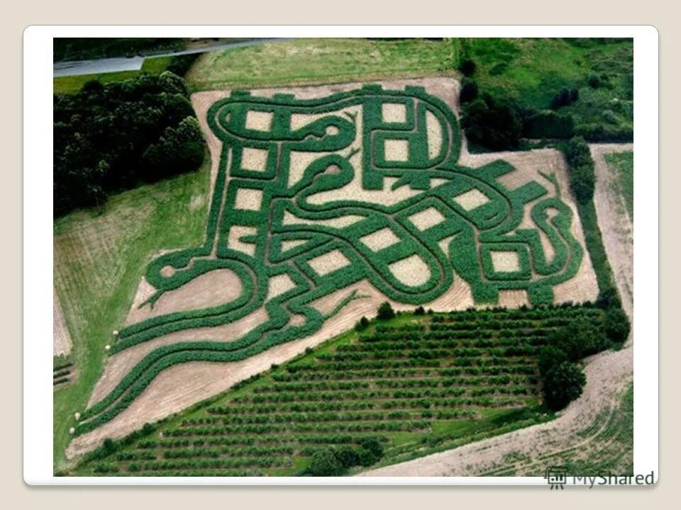 лабиринт на белом фоне. The maze игра. ли лабиринт. мейз лабиринт. лабиринт вид сверху.