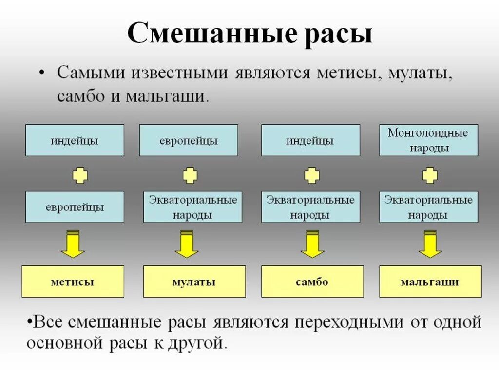 Смешанные расы. Смешанные расы людей. Основные и смешанные расы. Названия смешанных рас.