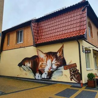 Зеленоградск где коты