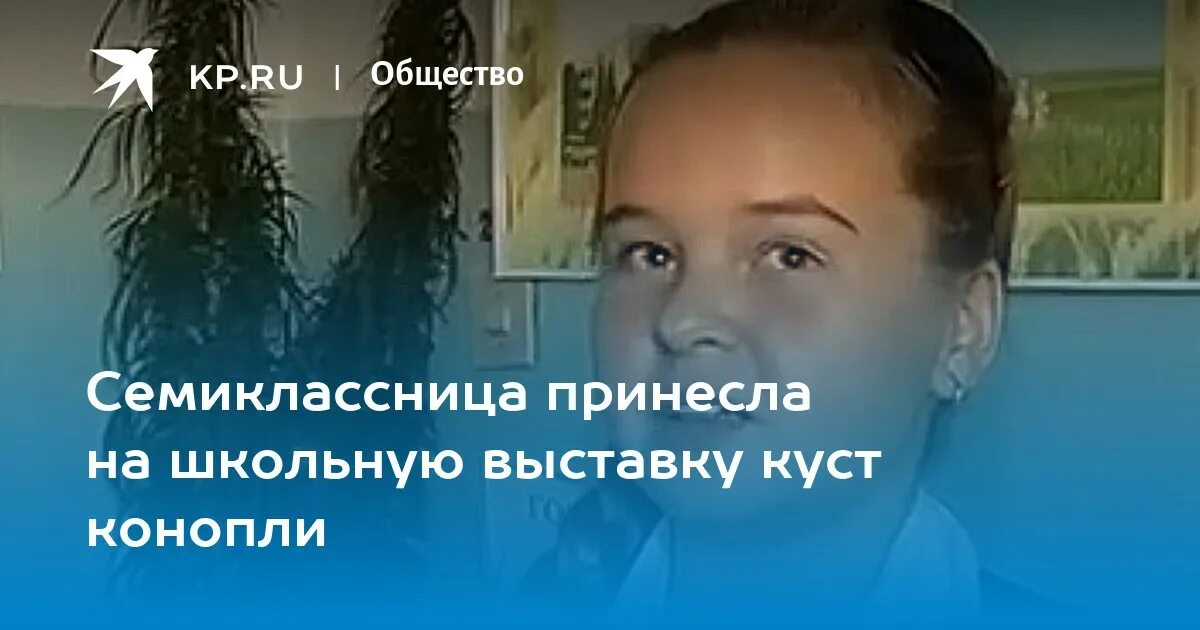 Семиклассница маша решила. Девочка принесла в школу куст конопли. Девочка принесла в школу.