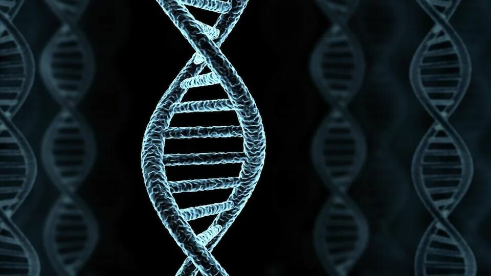 Днк какая форма. Цепочка ДНК. Спираль ДНК. Молекула ДНК. Нить ДНК.