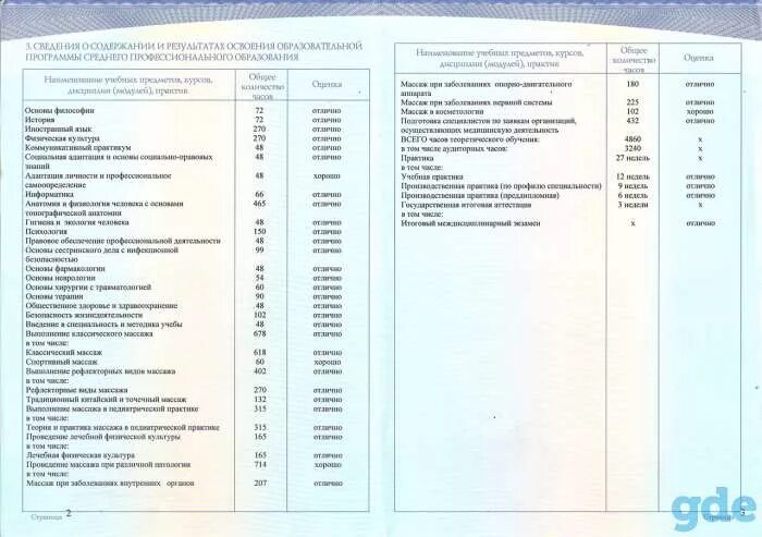 Высшее образование какие предметы. Высшее образование какие предметы