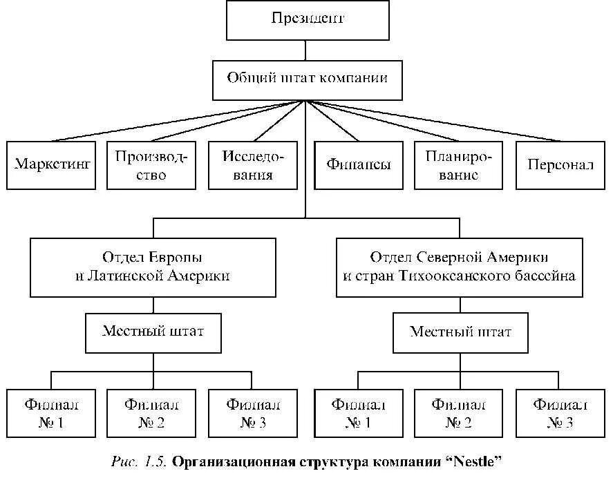 Какую структуру вы представляете. Организационная структура предприятия Нестле. Структура предприятия Нестле. Организационная структура организации ООО Нестле. Организационная схема структуры компании Nestle.