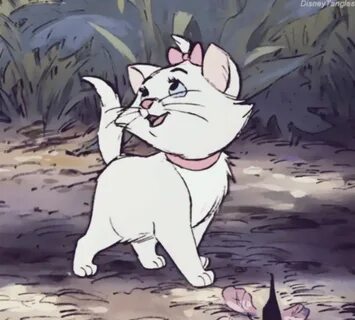 Коты аристократы мари