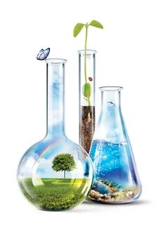 Chemical environment