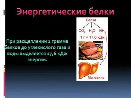 Расщепление 1 г белка